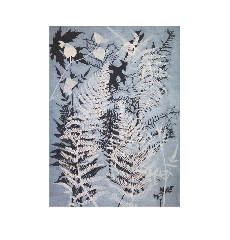 A4 Giclee Print from original botanical monotype by Stef Mitchell -Blue Ferns