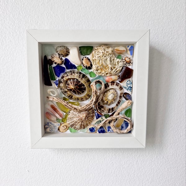 Cornish Shells & Sea Glass & Ceramic, Box Frame Picture. 