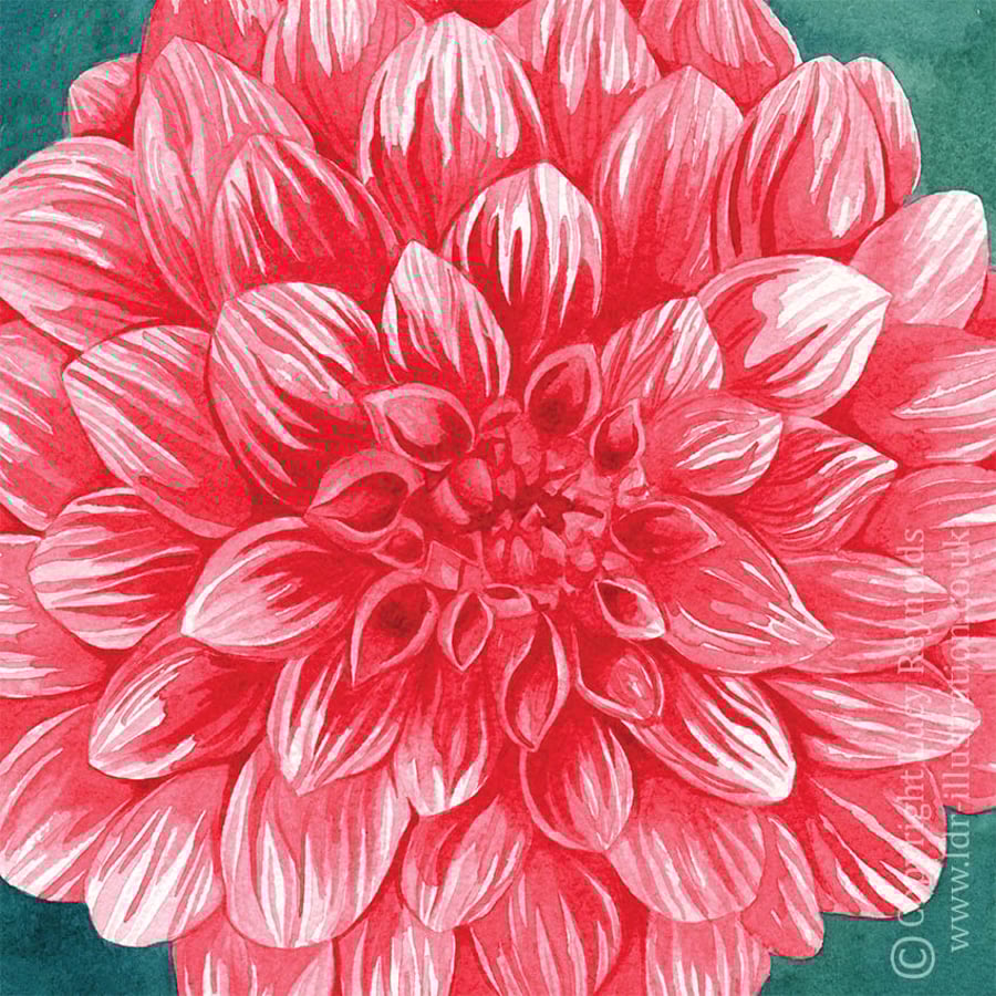 Dahlia Watercolour Card
