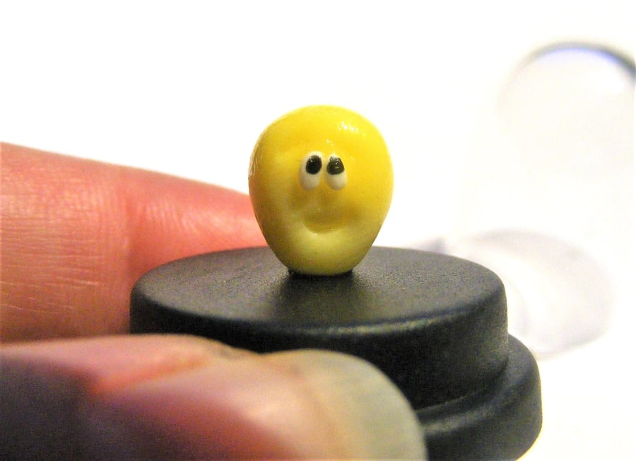 Pet Corn Kernel, Pet Maize, Pet kernel, Corn lover gift