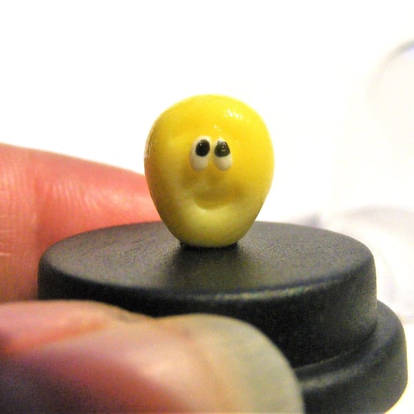 Pet Corn Kernel, Pet Maize, Pet kernel, Corn lover gift