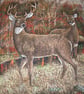 Stag and Deer in an Autumnal forest cushion - Image 2