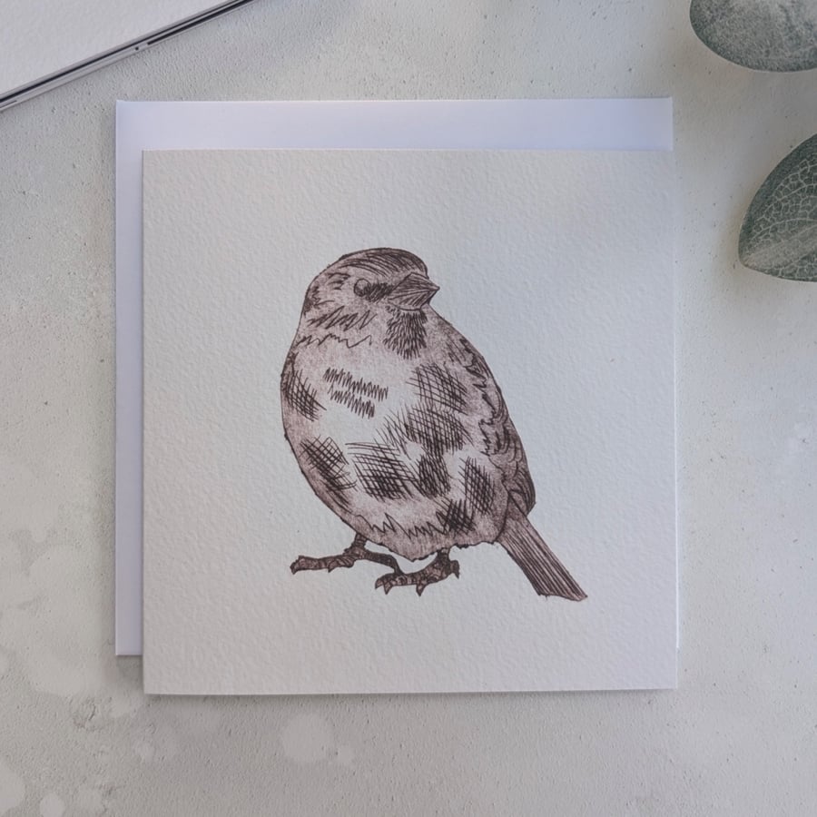 Little Sparrow Greetings Card, Wildlife Note Card