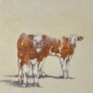 Hereford Calves . Original watercolour by Christopher Hughes 