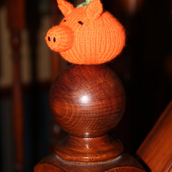 Halloween Pumpkin Pig