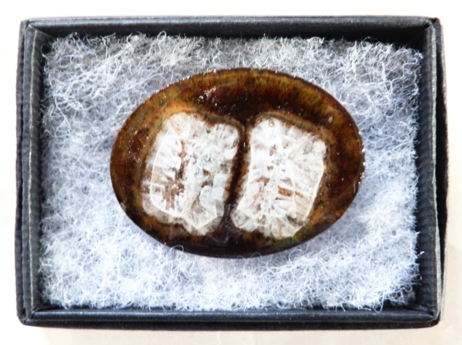 golden brown brooch embellished with white millefiore panes