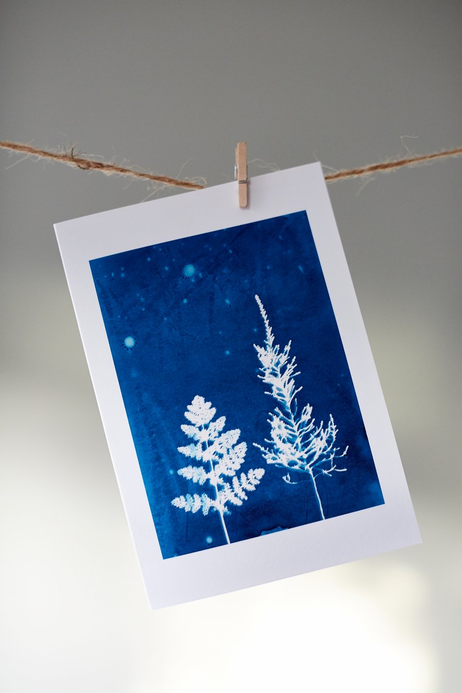 'fern trees, night sky' card from original cyanotype
