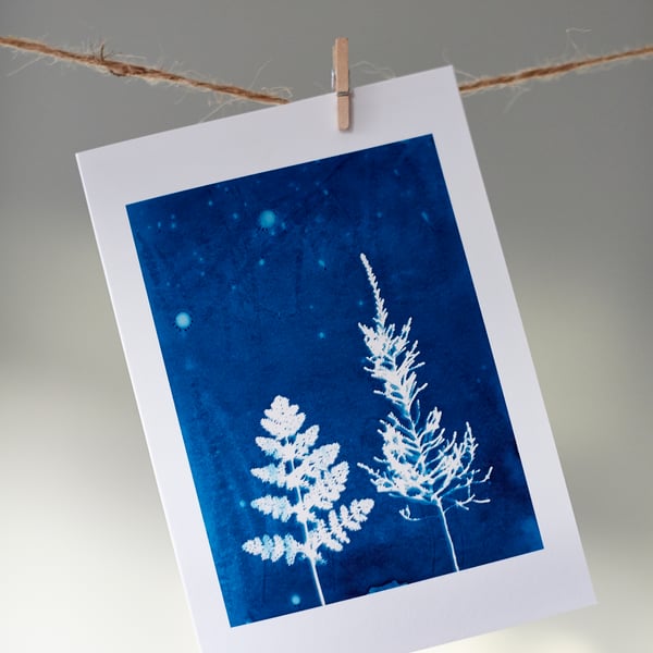 'fern trees, night sky' card from original cyanotype