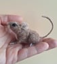 Mischief Mouse - Chip - Image 3