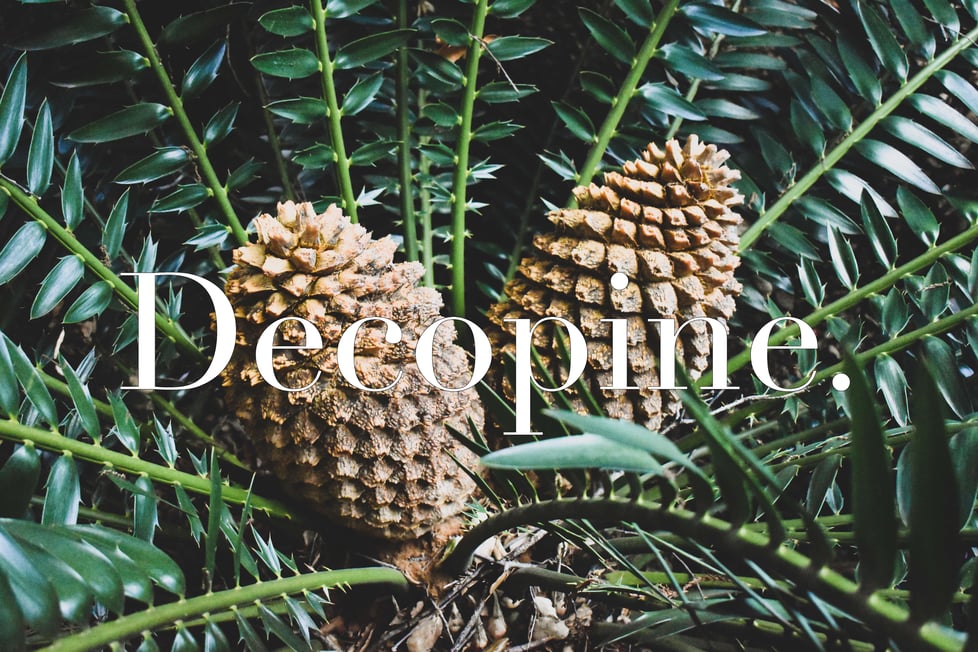 Decopine