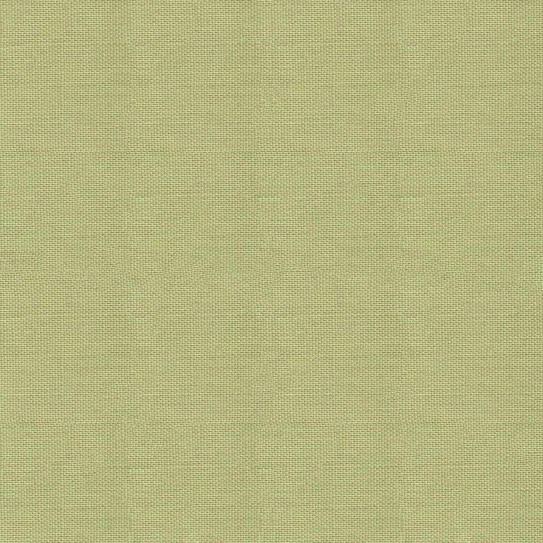 PISTACHIO Plain Dashwood Studio POP cotton fabric