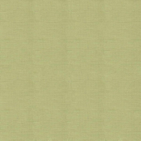 PISTACHIO Plain Dashwood Studio POP cotton fabric