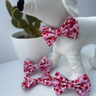 Valentine Red White Pink Heart Dog Bow Tie 
