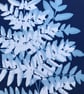 Pretty Fern Cyanotype Art- In an Embroidery Hoop - Image 3