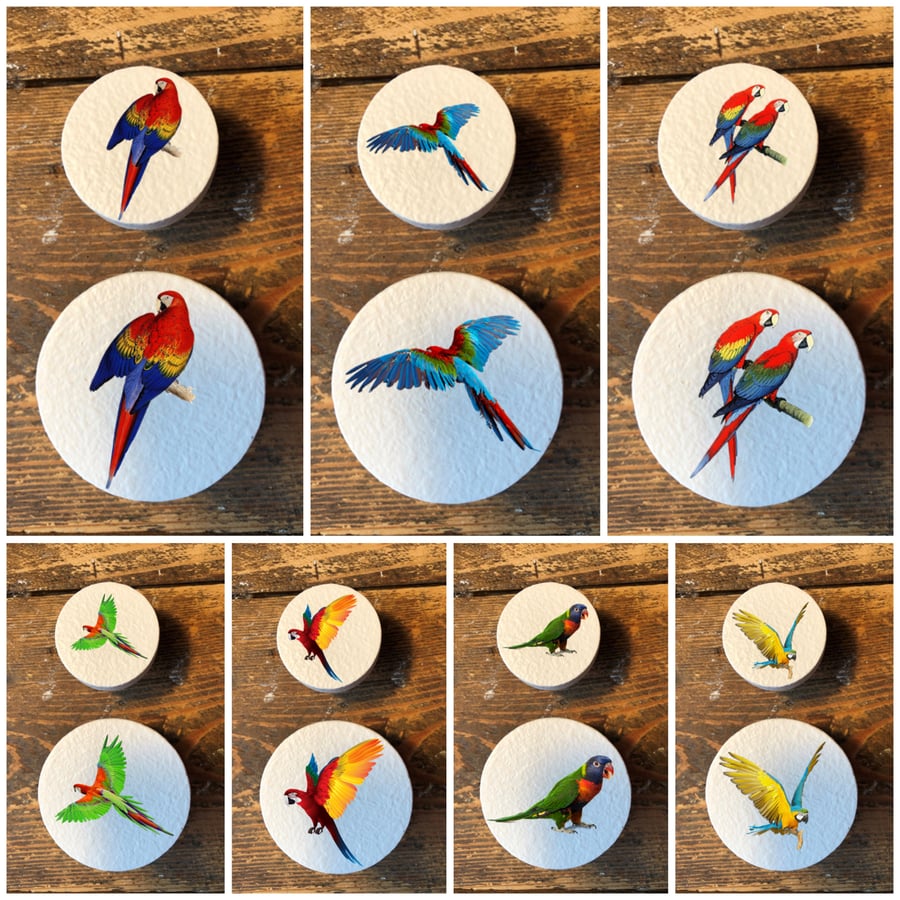 Handmade Parrots Macaw pine door knobs wardrobe drawer handles decoupaged