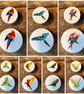 Handmade Parrots Macaw pine door knobs wardrobe drawer handles decoupaged