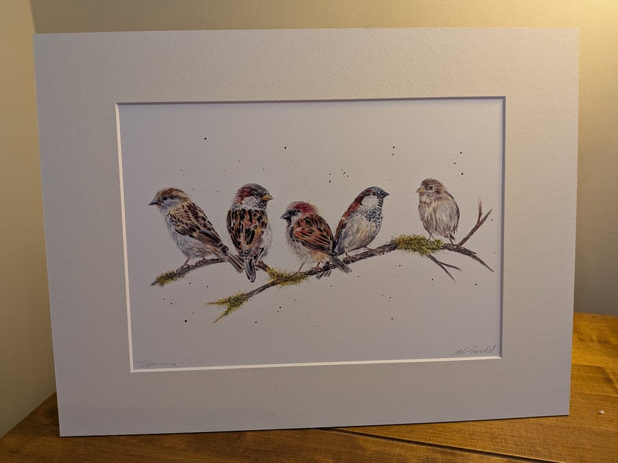 Sparrows, an A4 or A3 signed print of an original drawing
