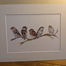 Sparrows, an A4 or A3 signed print of an original drawing