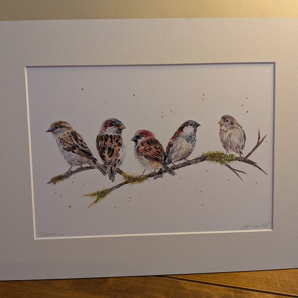 Sparrows, an A4 or A3 signed print of an original drawing