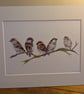 Sparrows, an A4 or A3 signed print of an original drawing