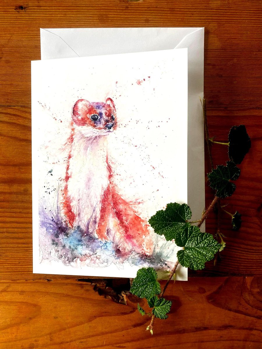 Stoat Card, A Blank A5 Greetings Card by Watercolour Artist Sandi Mower