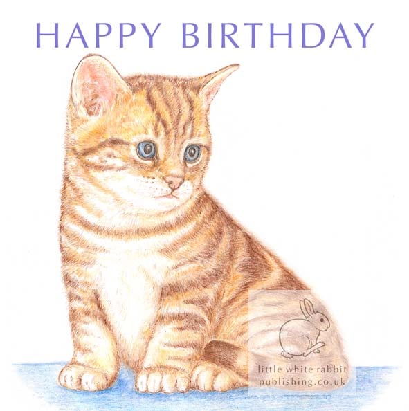 Timmy the Kitten - Birthday Card