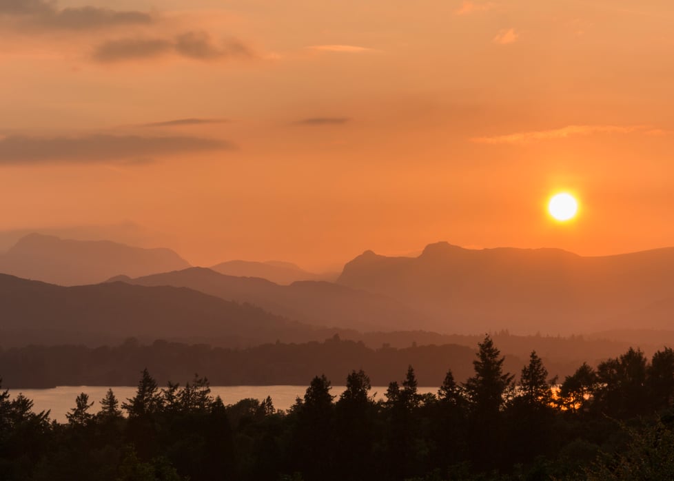 LIZ WITHEY Photography