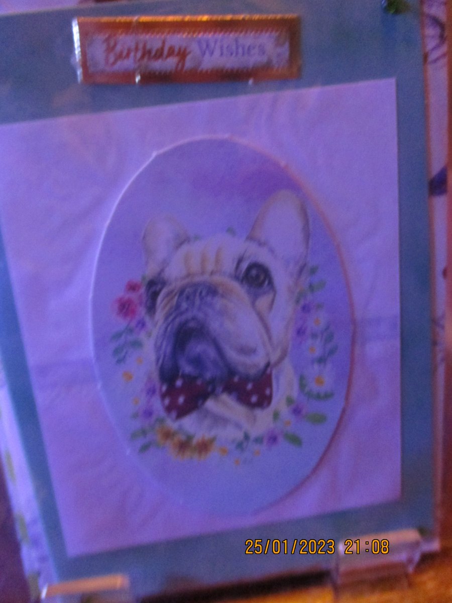 Birthday Wishes Card