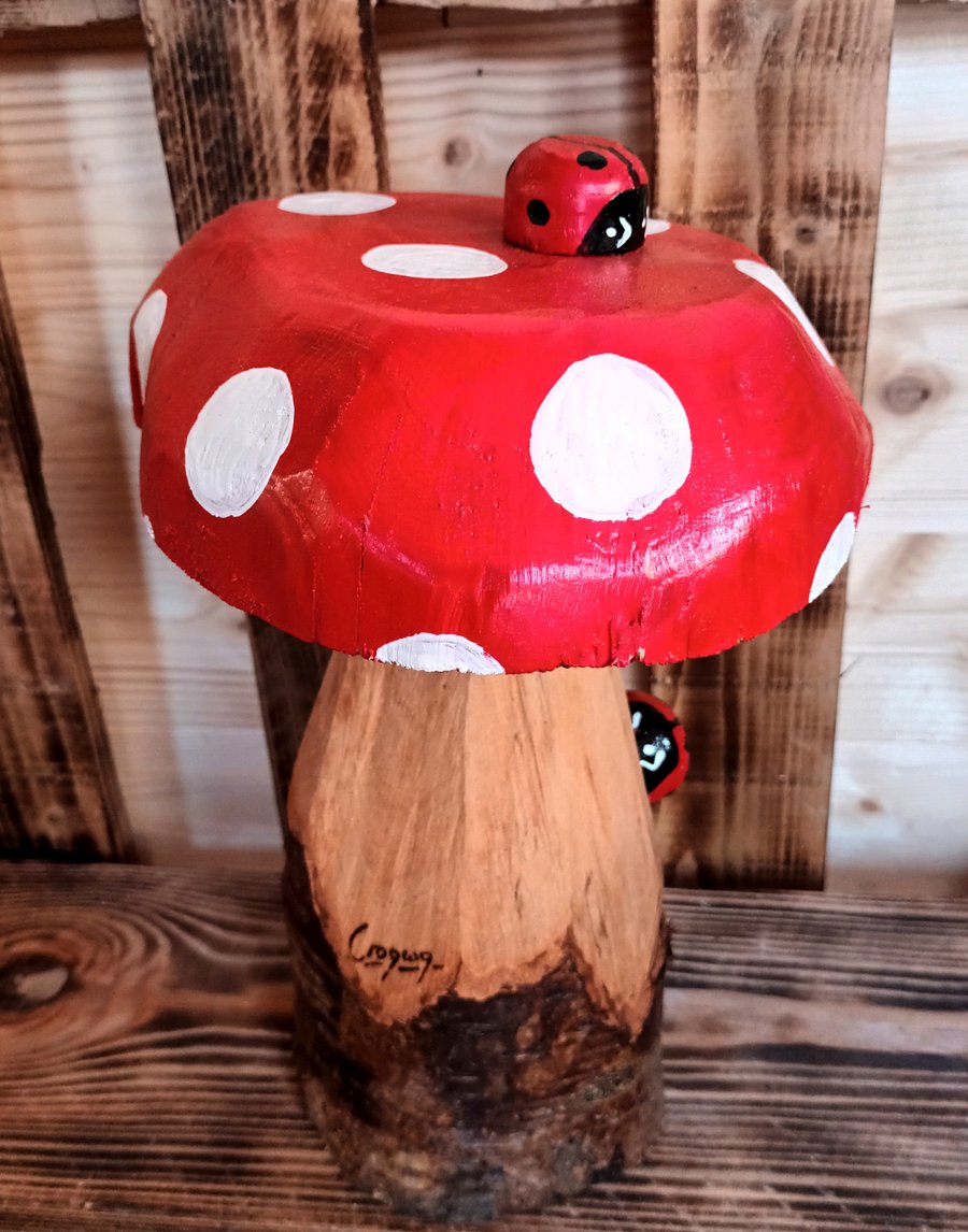 Flat Top Toadstool (D)