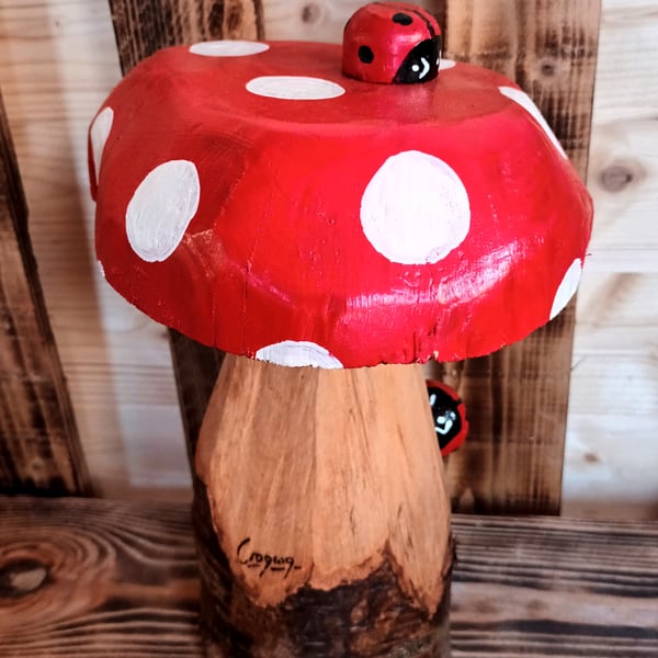 Flat Top Toadstool (D)