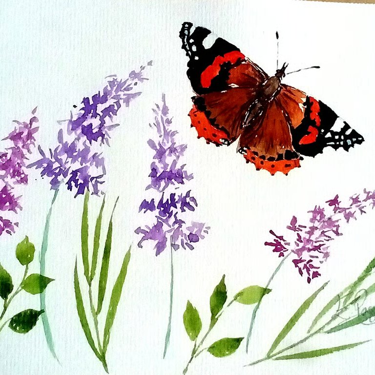Red admiral butterfly budelia, original watercolour painting, not a print,A5
