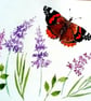Red admiral butterfly budelia, original watercolour painting, not a print,A5