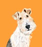 Pet caricature portrait. Custom stylised representation of your dog, cat, pet