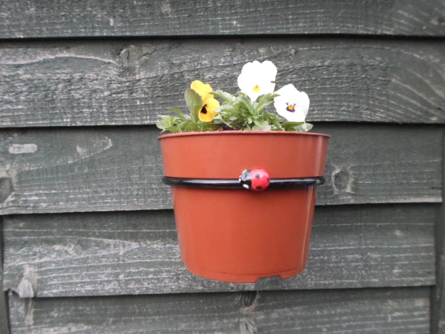 Ladybug Plant Pot Ring Holder..............Hand Crafted in Forged Steel