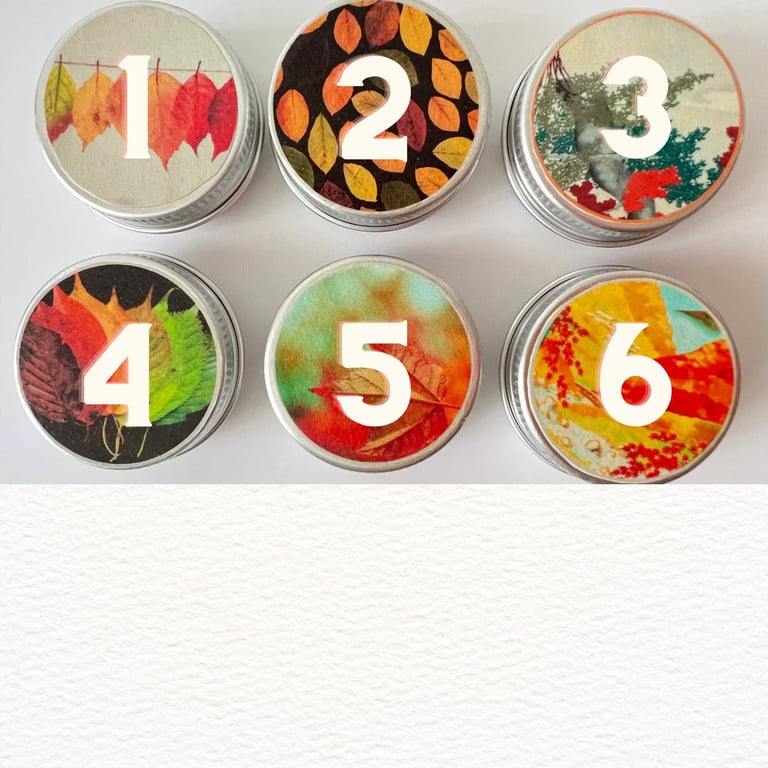 Stitch Markers Tin - Autumn Collection