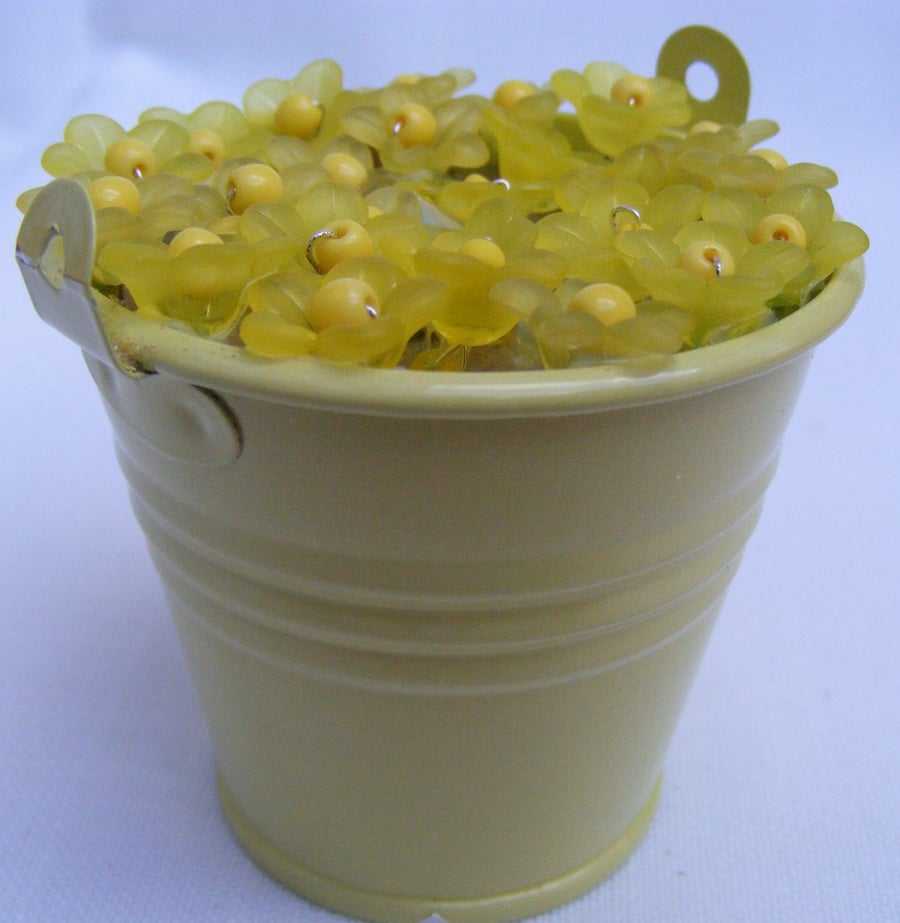 Yellow bucket of aconites home decoration.