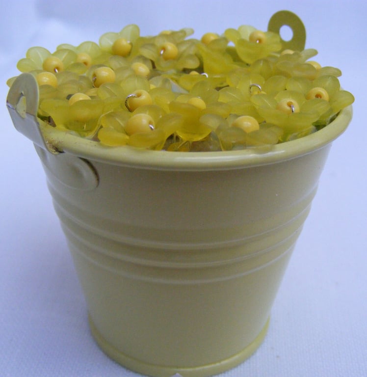 Yellow bucket of aconites home decoration.