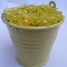 Yellow bucket of aconites home decoration.