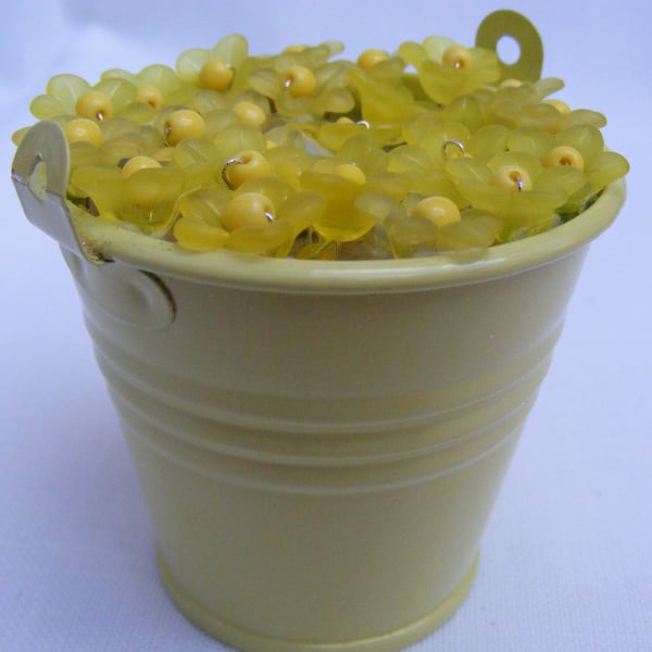Yellow bucket of aconites home decoration.