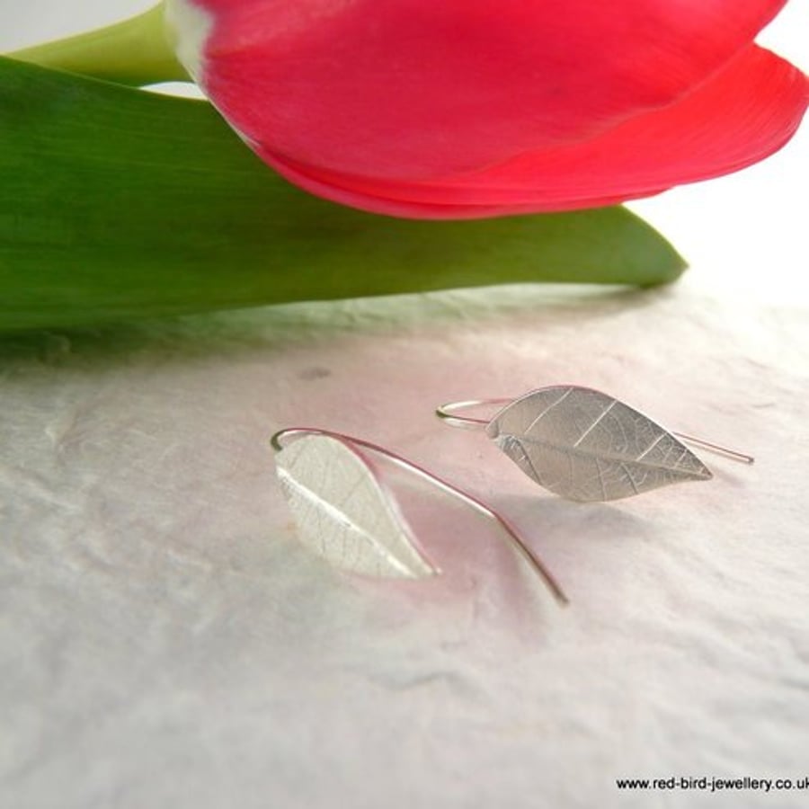 Little Silver Leaves