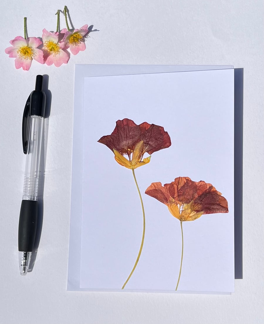 Handmade Real Pressed Flower Nasturtium Blank Card 