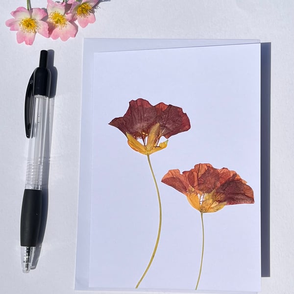 Handmade Real Pressed Flower Nasturtium Blank Card 