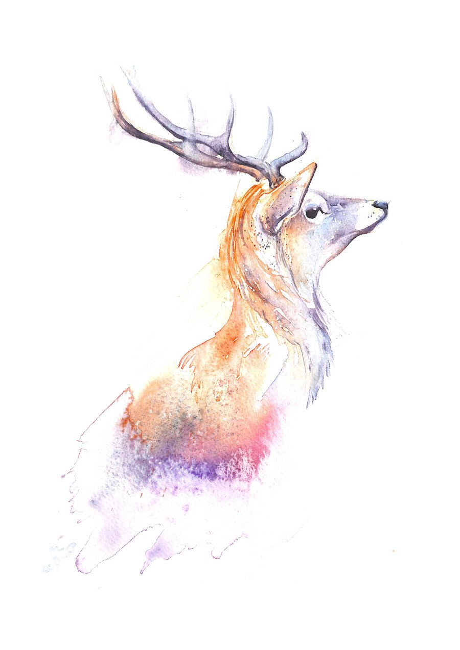 A4 Stag Print