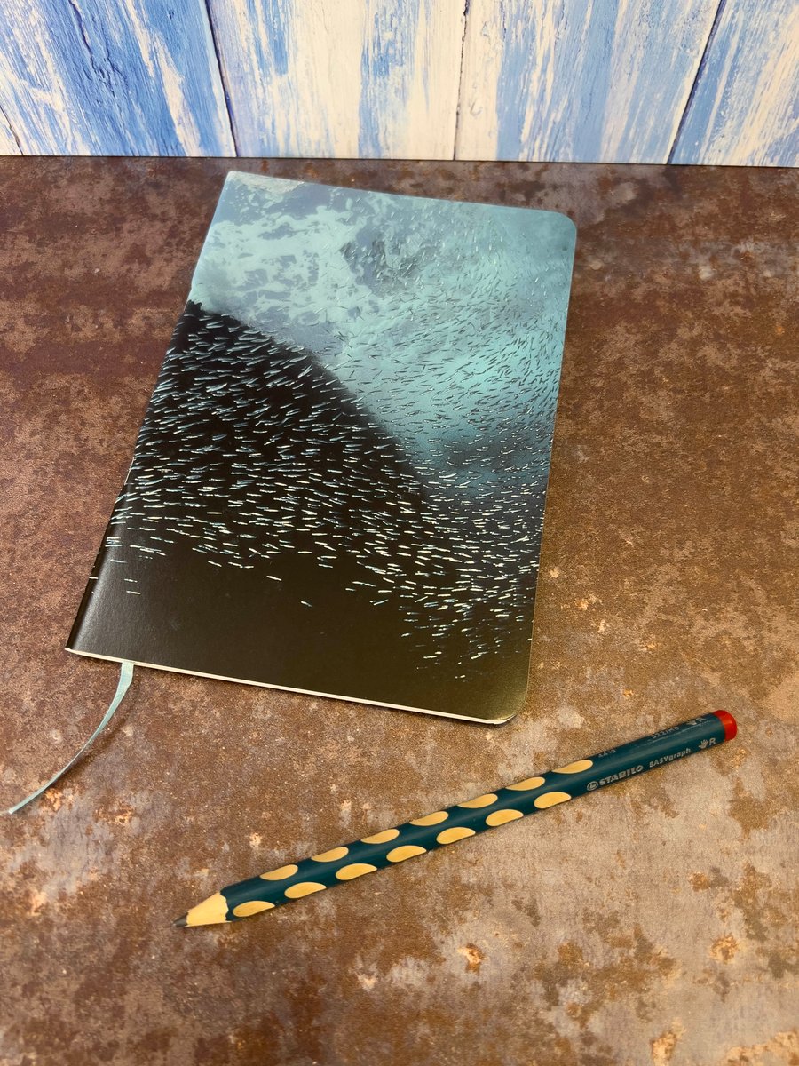 Notebook, Marine themed, A5 (ish), made from up-cycled and recycled materials.