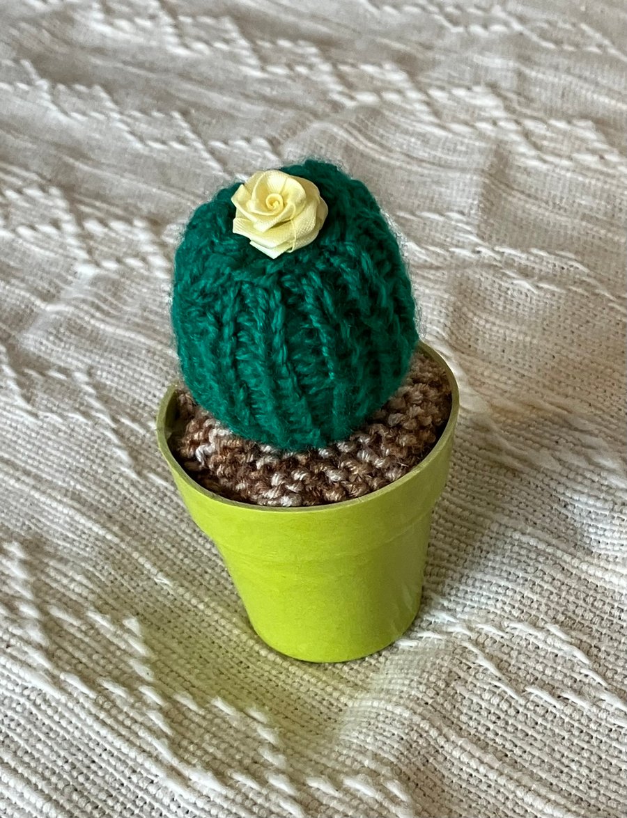 Knitted cactus