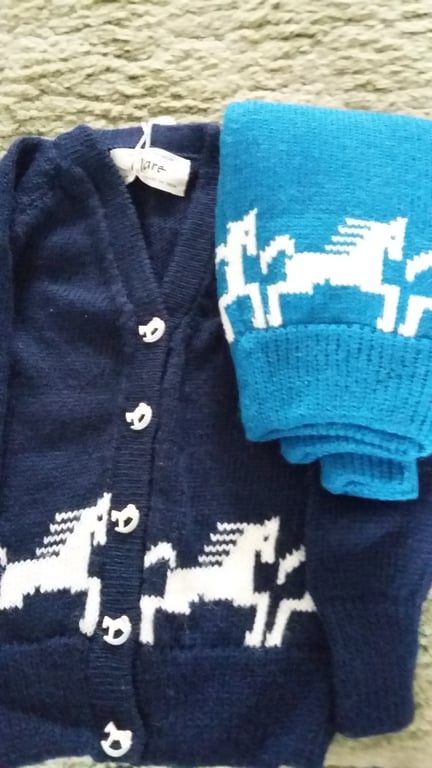 Horse Cardigan or jumper with horses round the bottom and horse buttons