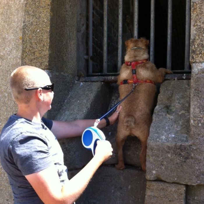 STELFORTH · art & illustration