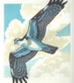 Osprey - Image 1