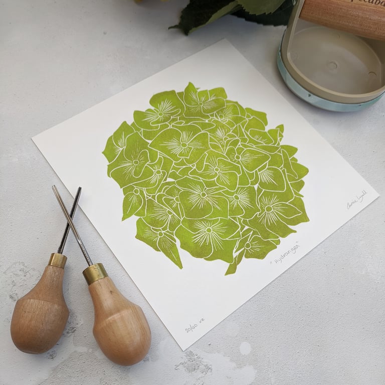 Hydrangea Flower Head Linocut, Botanical Print, Limited Edition