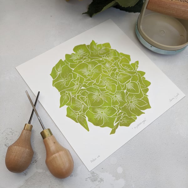 Limited Edition Hydrangea Flower Head Linocut